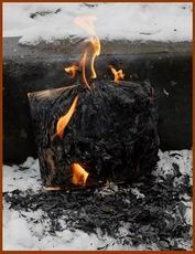 ...первый и последний выход в свет первого тома книги «Внук Короля»...