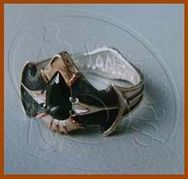 ...орденский перстень Слабости третьей степени (№6), вручённый в 2003 году...