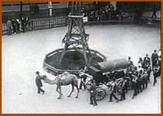 ...Париж, сентябрь 1871 года (памяти двух слонов из зоопарка)...